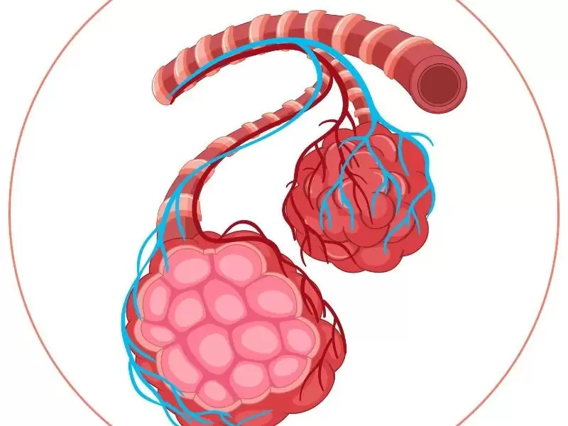 fibrosarkom-ne-demek